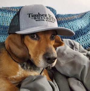 Meet your Posher, Dave